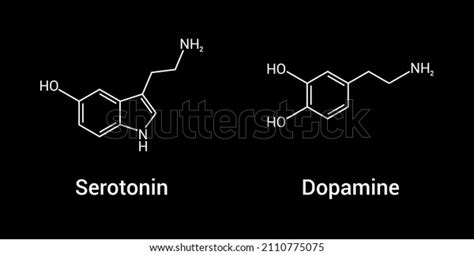 Chemical Structure Serotonin Dopamine Stock Vector Royalty Free