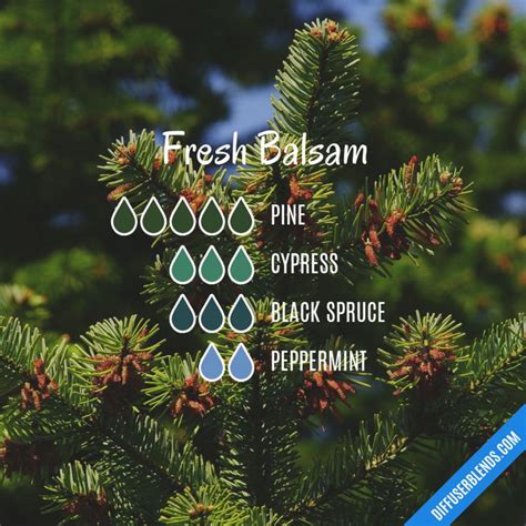 Fresh Balsam Essential Oil Diffuser Blends Recipes Essential Oil