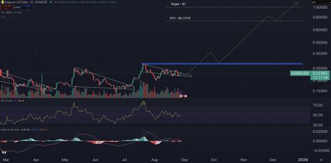 Dogecoin Price Prediction: DOGE Chart Just Went Full Bull Mode – Is $1