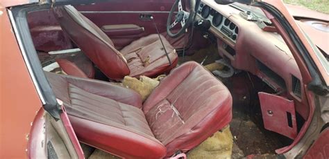 1977 Trans Am interior | Barn Finds