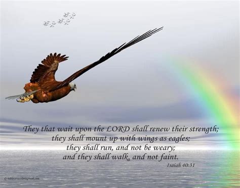 On Wings Of Eagles Wait Upon The Lord Isaiah 40 31 Weary Great Love