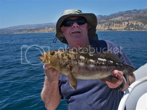 Rpt Sun 06 29 14 Wide Open Calico Bass Fishing Bloodydecks