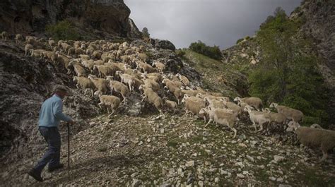 [HIGHLIGHTS] UNESCO declares transhumance and the technique of glass ...