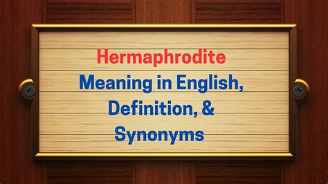 Hermaphrodite Meaning In English Definition And Hermaphrodite