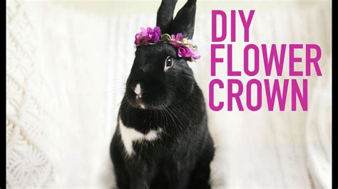 Diy Bunny Flower Crown Competsport