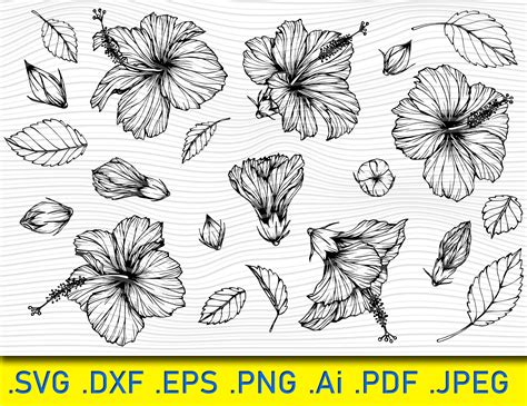 Hibiscus Svg Flower Svg Floral Svg Hibiscus Clipart Etsy