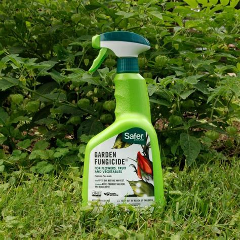 Safer Brand 32 Fl Oz Natural Fungicide In The Moss Algae And Fungus Control Department At