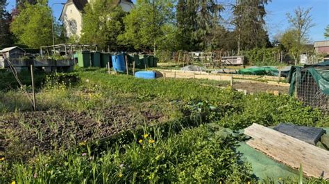 Workshop über Schädlinge und Nützlinge im Garten Rorschacher Echo