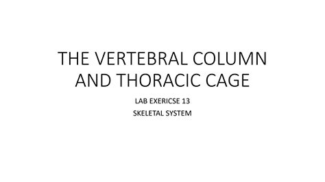 Solution Hyegpvku Lab Exercise Vertebral Column And Thoracic Cage