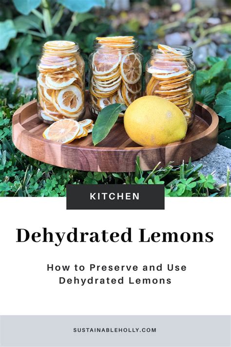 Dehydrated Lemons To Preserve Your Crop Sustainable Holly Dehydrated Fruit Dehydrator