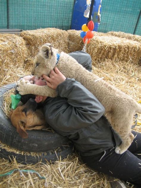 Extreme Petting Zoo 38 Pics