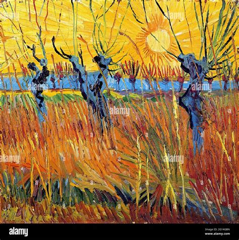 Vincent Van Gogh Pollard Willows Setting Sun Stock Photo Alamy