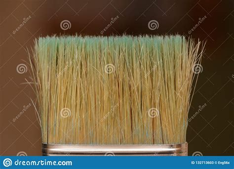 The Bristles Of The Brush Close Up On Blurred Background Stock Image