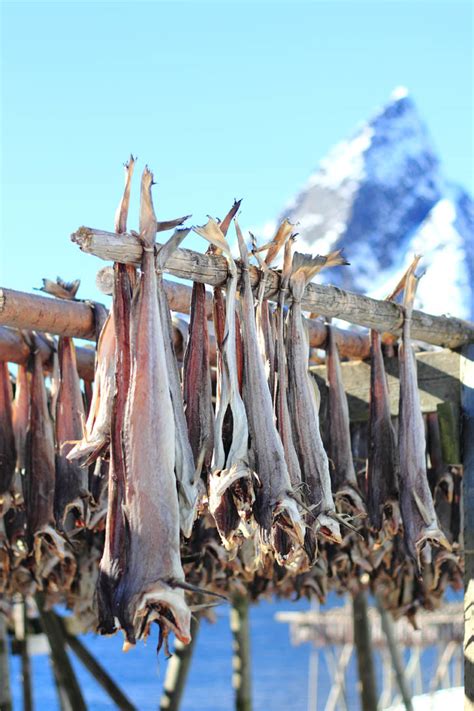 Lofoten Fishing Villages, Then and Now | Arctic Guide Service | Lofoten