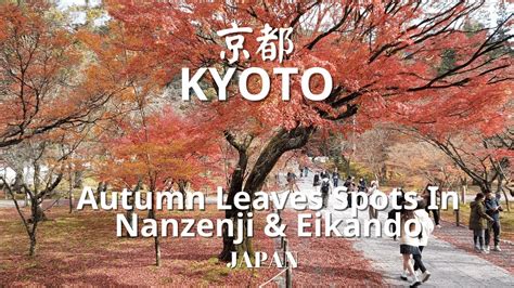 Kyoto Autumn Leaves Spots In Nanzenji南禅寺 And Eikando永観堂 京都の紅葉