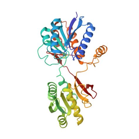 Rcsb Pdb Lbp Structure Of The L Leucine Binding Protein Refined At