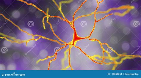 Neurona Dopamin Rgica Reconstrucci N Del Ordenador Stock De