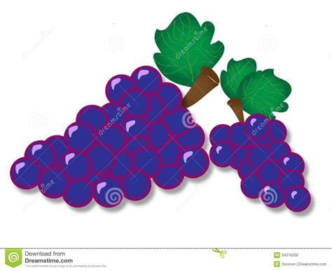 Uvas del vector stock de ilustración Ilustración de azul 34376330