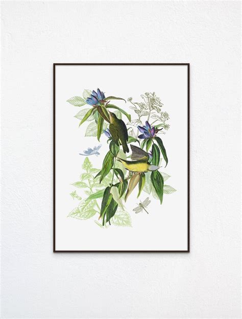 Bird Art Print Bird Art Bird Poster Vintage Bird Art Print Bird