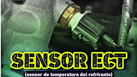 Sensor De Temperatura Del Refrigerante Fallas Y Soluciones Youtube