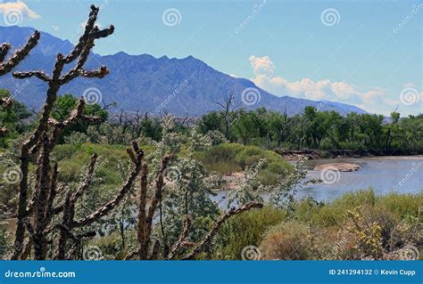 Rio Grande River Valley In Late Summer Stock Photo Image Of Gold