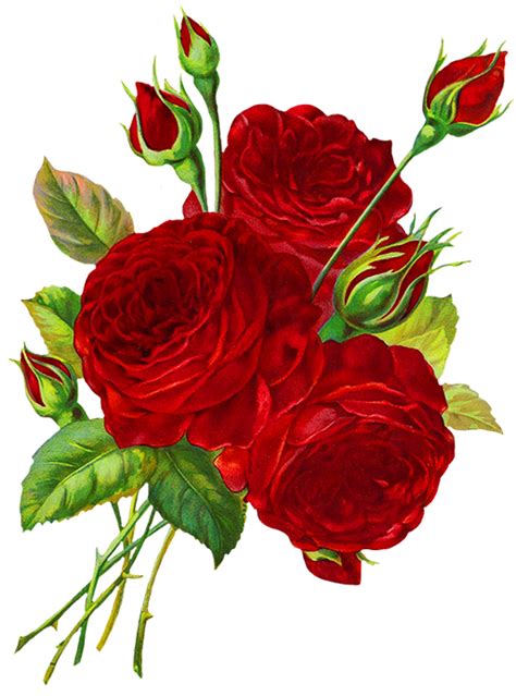 Download Vibrant Red Roses Artwork Png