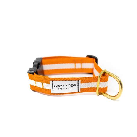 Orange Dog Collar - Dog Gear You Need