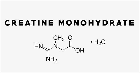 Creatine Monohydrate: Uses, Side Effects, Interactions, Dosage and ...