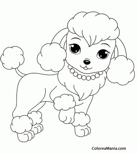 Colorear Perrita caniche Animales Domésticos dibujo para colorear