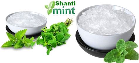 Natural Essential Oil Wholesale Mint Products Menthol Powder Spearmint