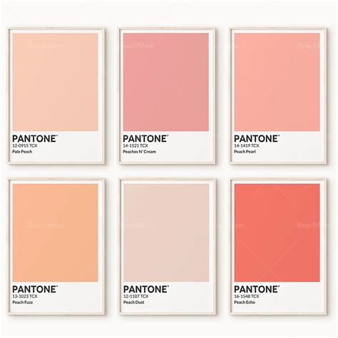 Discover Inspirational Pantone Color Palette Lab Off