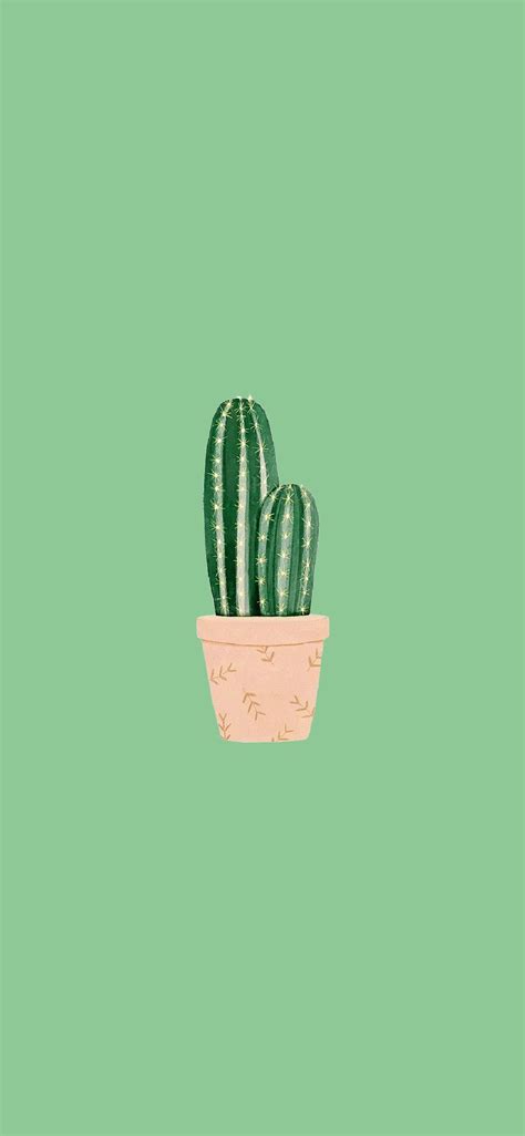 Cactus minimalist wallpaper | Wallpaper, Minimalist wallpaper, Iphone ...