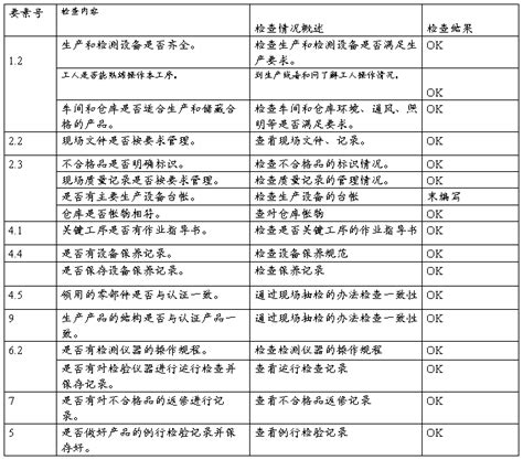 20xx内部审核不符合项报告 范文118