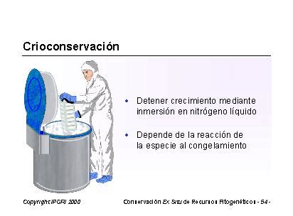 bio Tecnology Crioconservación