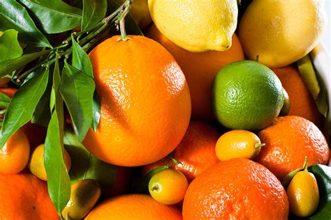 Citrus Fruit Archivi | Goglio Packaging System
