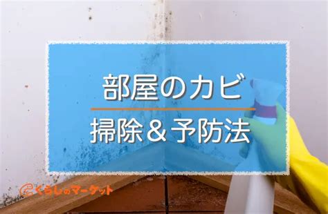 カビ対策は1年中必要だった！部屋の場所で異なるカビ予防法 くらしのマーケットマガジン