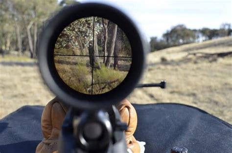 How To Use A Rifle Scope A Detailed Guide From Pro Shooters