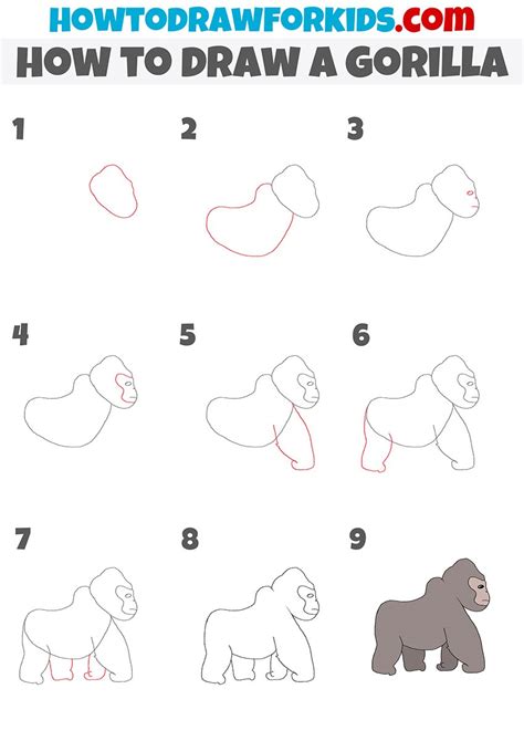 How To Draw A Simple Gorilla Step By Step Drawing Photos