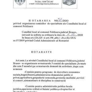 Hot R Rea Nr Privind Organizarea Consiliilor De Specialitate