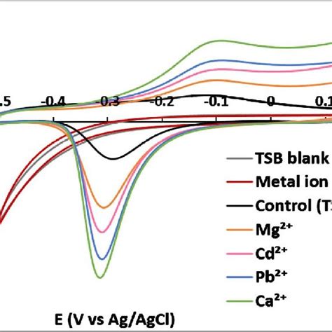 Cyclic Voltammetry After Electrode Loading At 0 2 V Vs Ag Agcl For Download Scientific Diagram