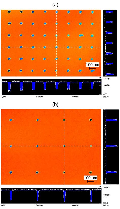 Figure A2. Example confocal laser scanning microscope (CLSM) images of ...