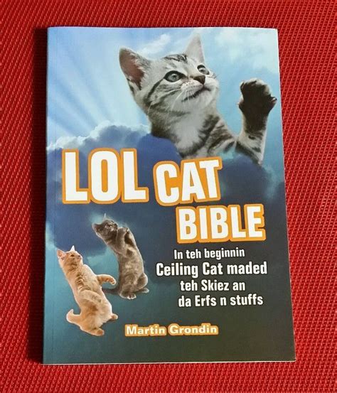 LOLCAT BIBLE LOL Speak Translated Bible for Cats Felines Humor ...