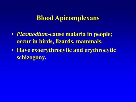 Apicomplexans Plasmodium