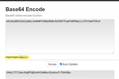 Base64 Encode Decode Online By Yqqwe Issuu