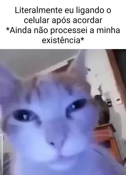 Foda Parceiro Meme By Danieldagerom Memedroid