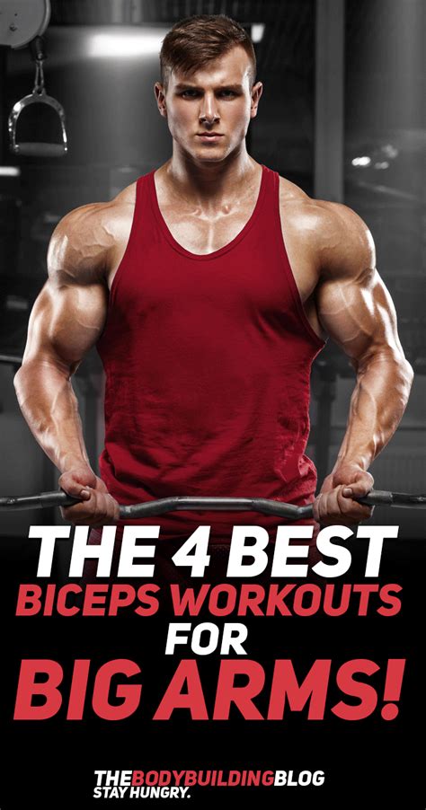 The 4 Best Biceps Workouts For Big Arms Artofit