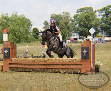 Horse jumping | Cross country jumps, Show jumping horses, Horse jumping