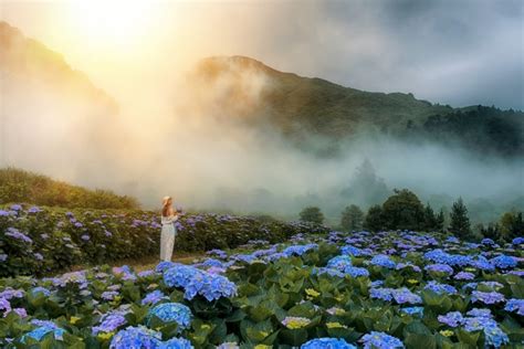 過年國內走春旅遊推薦：全台16個賞花景點＆花期整理，親子老人皆適合！女人我最大