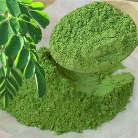 Moringa Powder Manufacturers Wholesale Suppliers And Exporters Buy