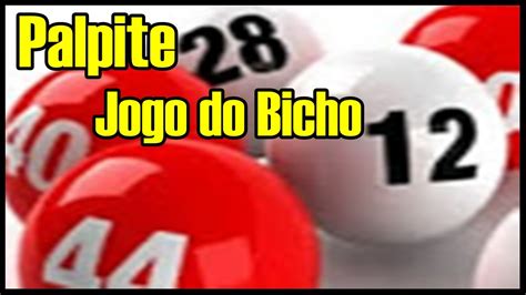 Jogo De Bicho Palpite Pra Ganhar Na Centena E Milhar YouTube